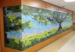 Atlanticare Regional Medical - Donor Walls